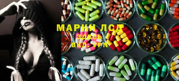 spice Каменка