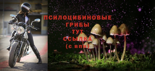 хмурый Каменногорск