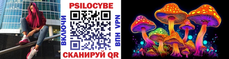 Купить закладки  Дятьково  Псилоцибиновые грибы мицелий 
